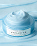 Herbivore Aquarius Pore Purifying Clarity Cream